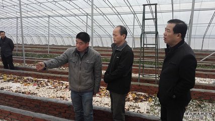 陜西省林木種苗站站長謝君朝赴渭南市調(diào)研檢查林木種苗工作