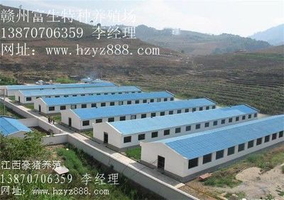 貴州豪豬種苗 陜西豪豬種苗 云南豪豬種苗_農(nóng)副產(chǎn)品_世界工廠網(wǎng)