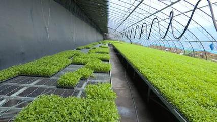 銀川新聞網(wǎng)