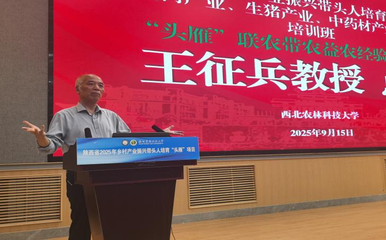 陜西“頭雁”聚西農 共繪產業振興聯農圖景